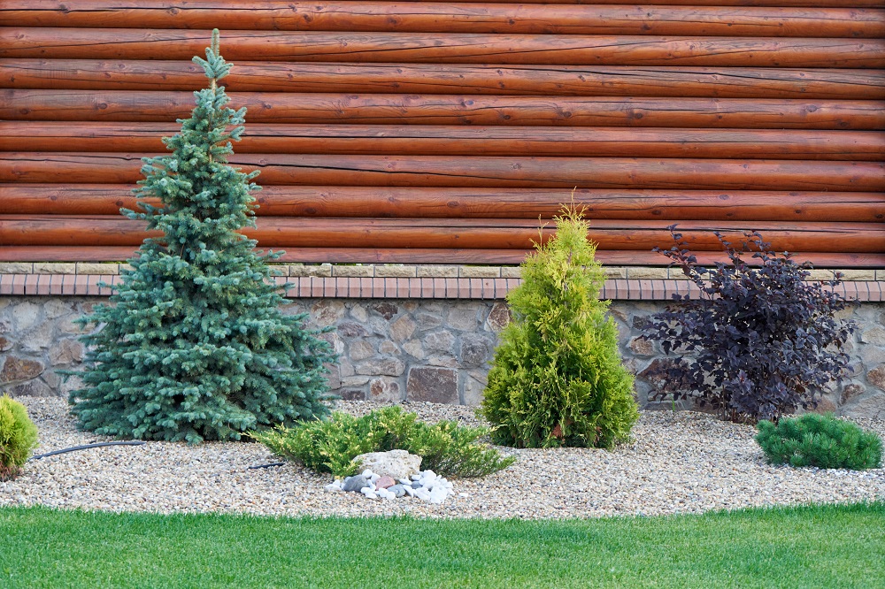 A Complete Guide To Preparing Your Landscape For Winter - Scientific ...