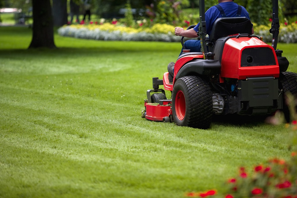 Lawn maintenance on sale