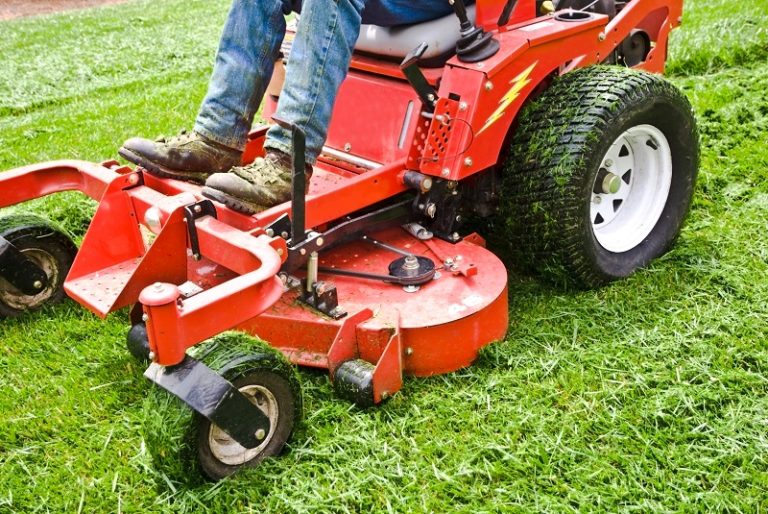 What Is The Best Way to Mow Your Lawn? Scientific Plant Service