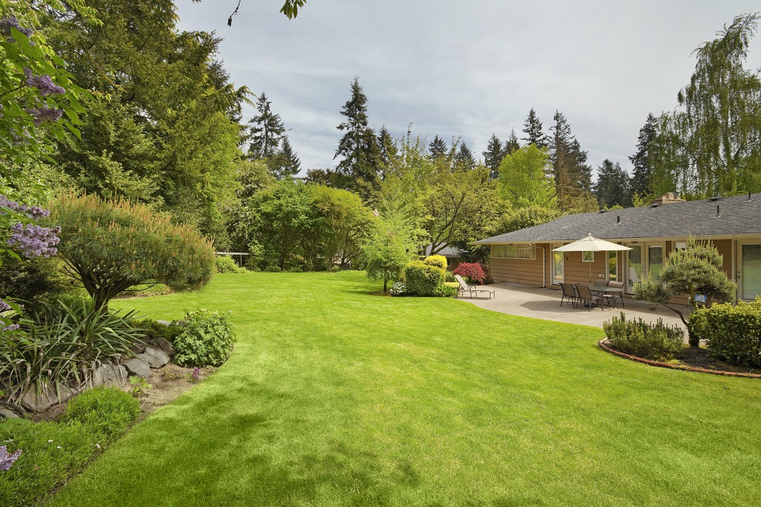 Find Your Best Lawn Care Service in Davidsonville