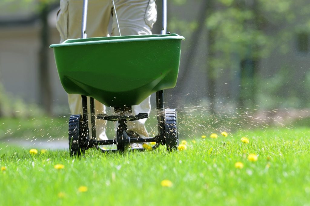 Make Sure You Have These Lawn Care Tools Before Spring - Scientific ...