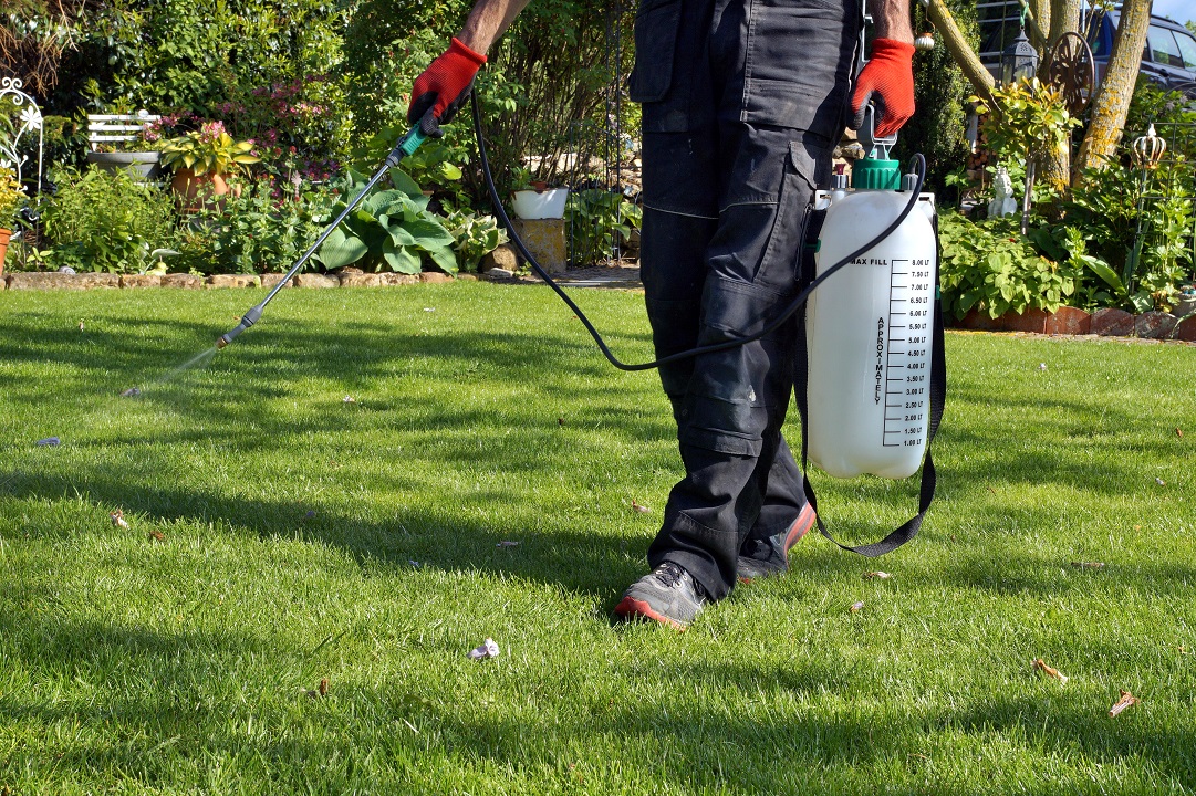 Four Reasons to Hire a Professional Lawn Care Service Scientific