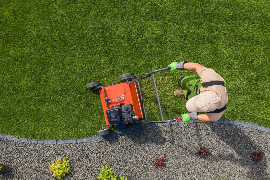 SPAM 🌱 TO ENCOURAGE GROWTH 🥰😌 #lawn #lawncare #lawnmower #lawntikto