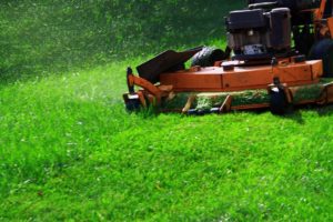 scientific plant service lawn mowing a green lawn