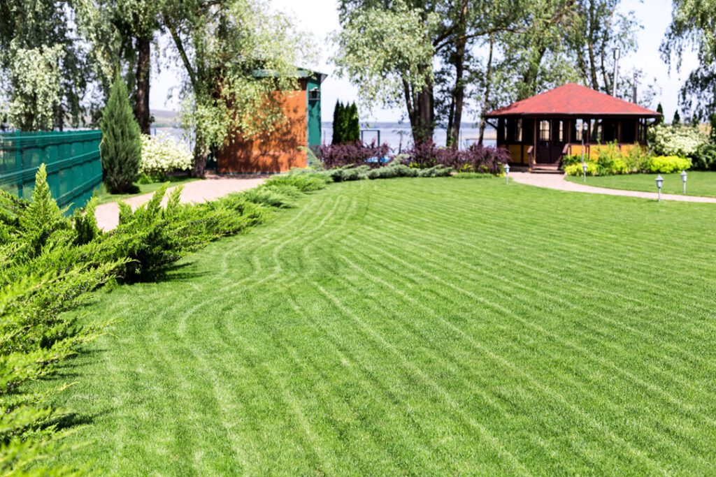 beautiful green lawn freshly mowed