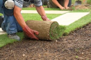 scientific plant service lawn care service in Taneytown